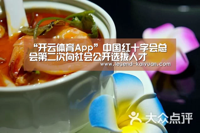 “开云体育App”中国红十字会总会第二次向社会公开选拔人才(图1) 开云体育官网