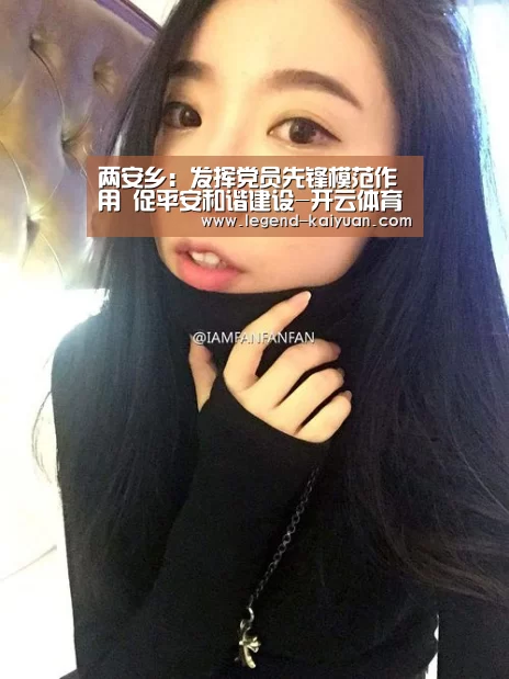 两安乡:发挥党员先锋模范作用 促平安和谐建设-开云体育官网(图1) 开云体育网站