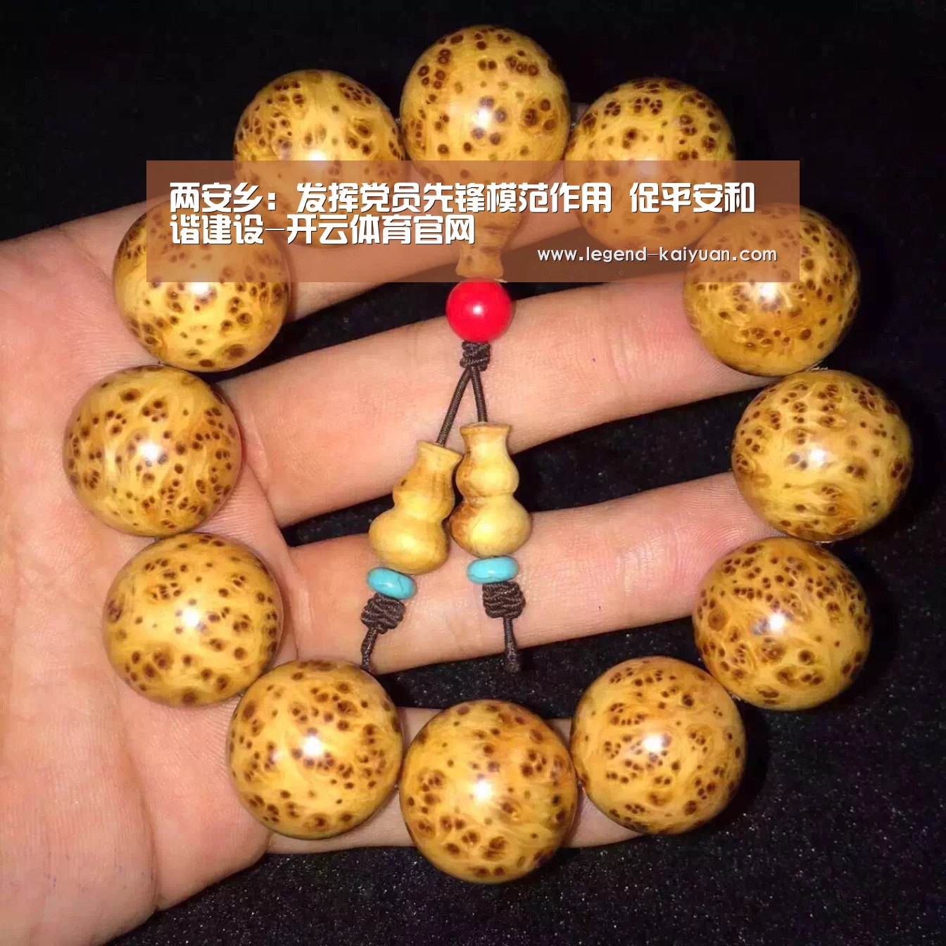 两安乡:发挥党员先锋模范作用 促平安和谐建设-开云体育官网(图2) 开云体育网站