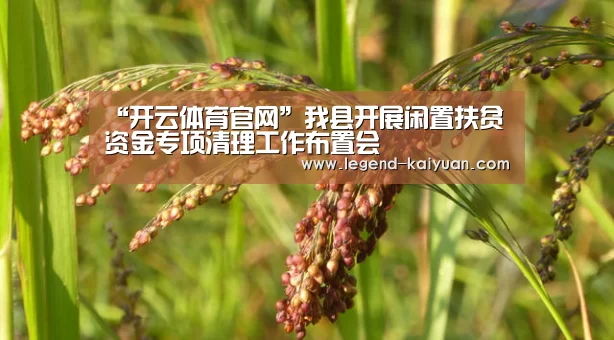“开云体育官网”我县开展闲置扶贫资金专项清理工作布置会(图3) 开云体育App